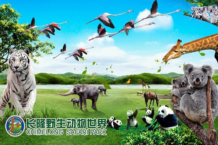 【長隆野生動物世界】廣州景區(qū)-廣東景點推薦