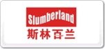 斯林百蘭