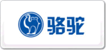 駱駝