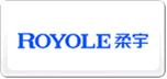 柔宇Royole