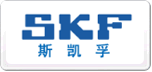 SKF斯凱孚