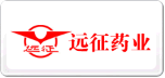 遠征