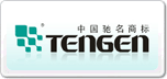 天正TENGEN