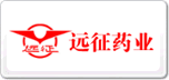 遠(yuǎn)征