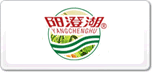陽(yáng)澄湖牌大閘蟹