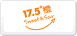 17.5°橙