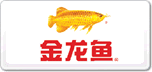 金龍魚