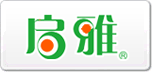 啟雅