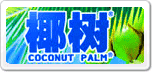 椰樹