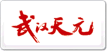 天元