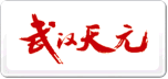 天元